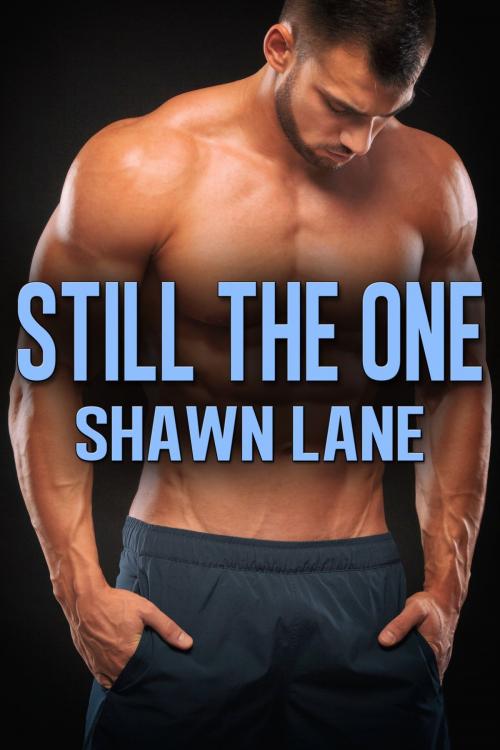 Cover of the book Still the One by Shawn Lane, JMS Books LLC