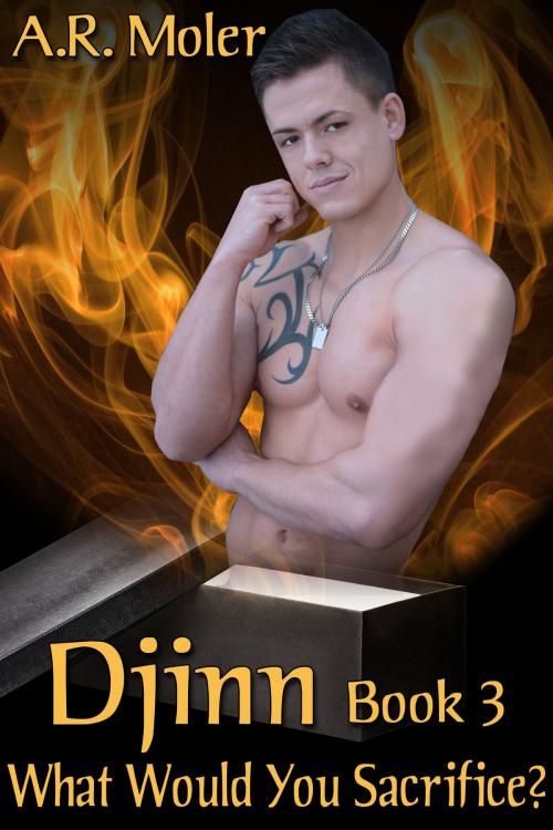 Cover of the book Djinn 3: What Would You Sacrifice? by A.R. Moler, JMS Books LLC