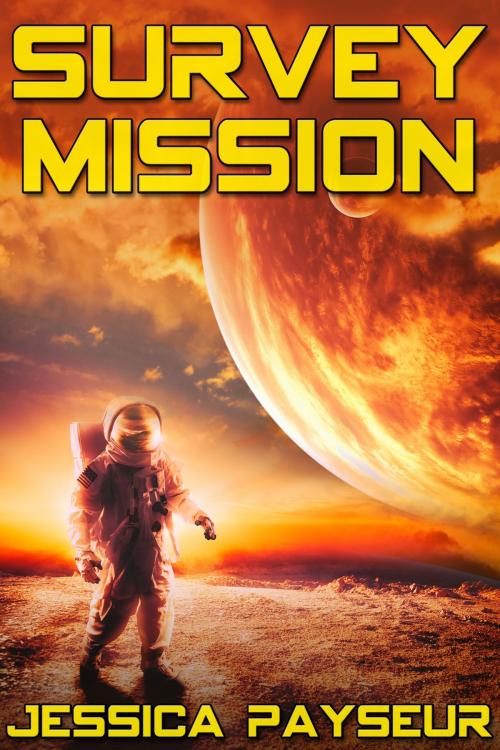 Cover of the book Survey Mission by Jessica Payseur, JMS Books LLC