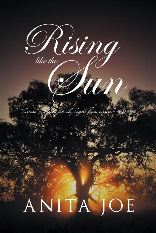 Cover of the book Rising Like The Sun by Anita Joe, Christian Faith Publishing