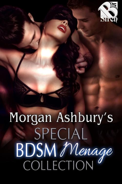 Cover of the book Morgan Ashbury's Special BDSM Menage Collection by Morgan Ashbury, Siren-BookStrand