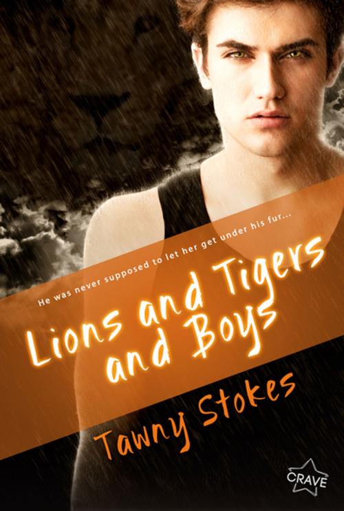 Cover of the book Lions and Tigers and Boys by Tawny Stokes, Entangled Publishing, LLC