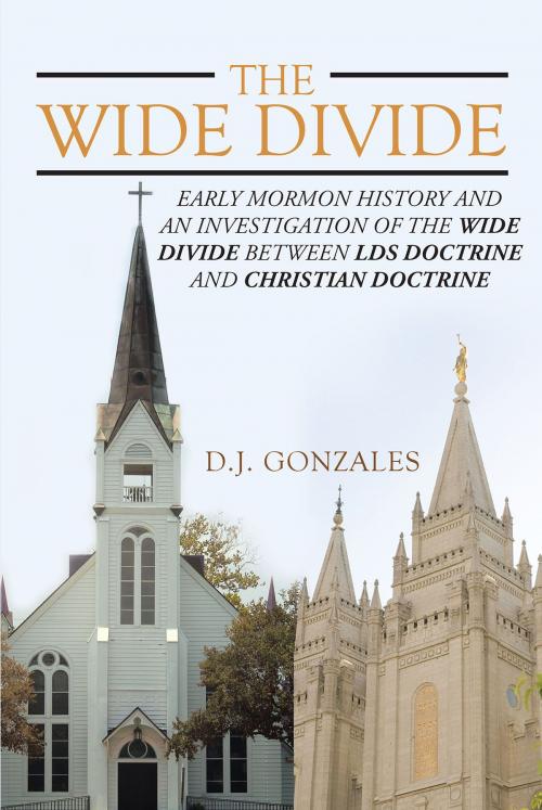 Cover of the book The Wide Divide by D. J. Gonzales, Christian Faith Publishing