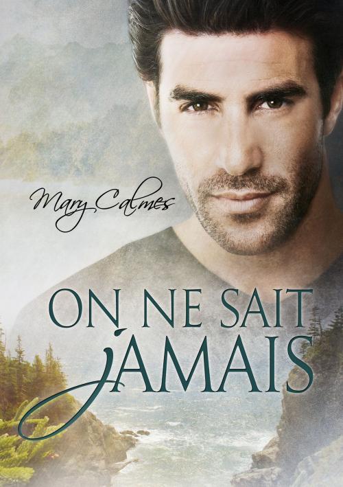 Cover of the book On ne sait jamais by Mary Calmes, Dreamspinner Press