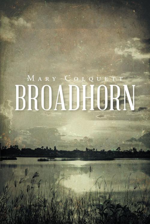 Cover of the book Broadhorn by Mary Colquett, Christian Faith Publishing