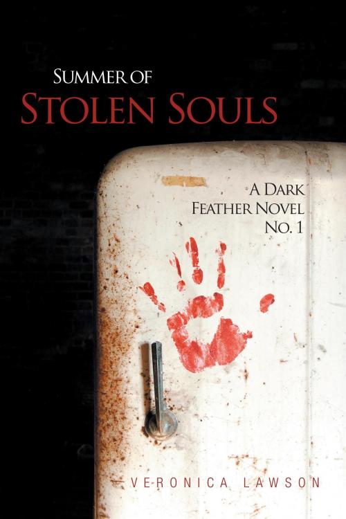 Cover of the book Summer of Stolen Souls by Veronica Lawson, AuthorCentrix, Inc.