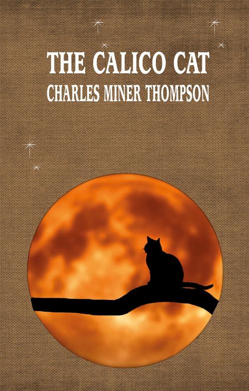 Cover of the book THE CALICO CAT by CHARLES MINER THOMPSON, Fatih Oncu