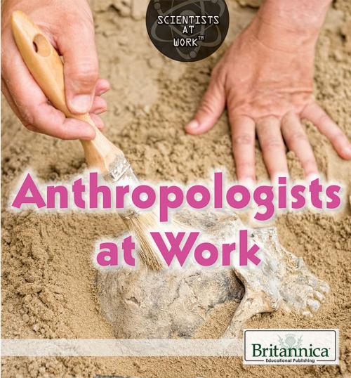 Cover of the book Anthropologists at Work by Therese Shea, Britannica Educational Publishing