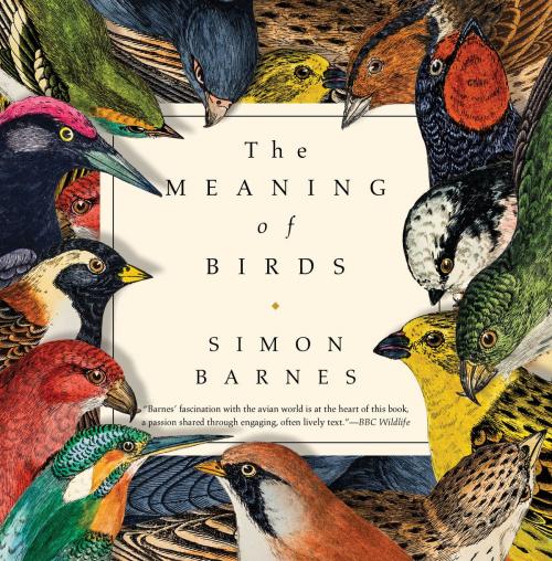 Cover of the book The Meaning of Birds by Simon Barnes, Pegasus Books