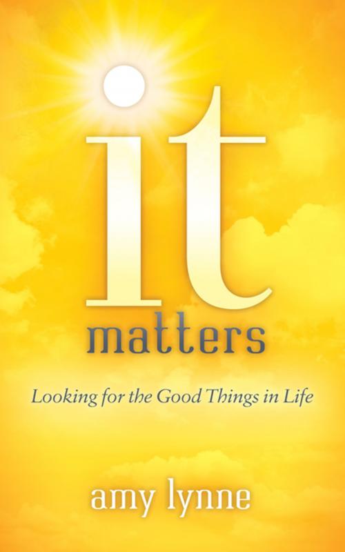 Cover of the book It Matters by Amy Lynne, Morgan James Publishing