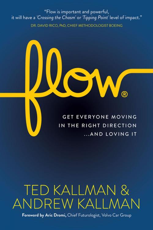 Cover of the book Flow by Ted Kallman, Andrew Kallman, Morgan James Publishing