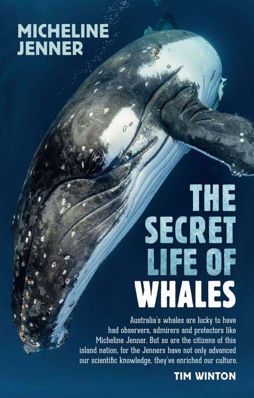 Cover of the book The Secret Life of Whales by Micheline Jenner, University of New South Wales Press