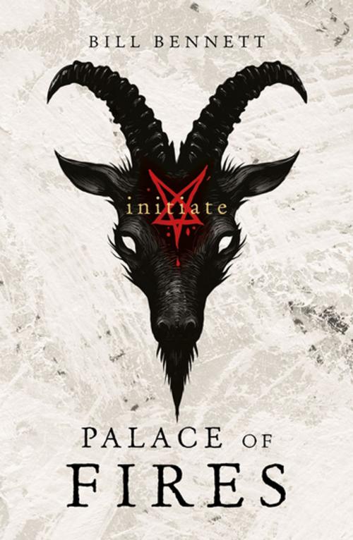 Cover of the book Palace of Fires: Initiate (BK1) by Bill Bennett, Penguin Random House Australia