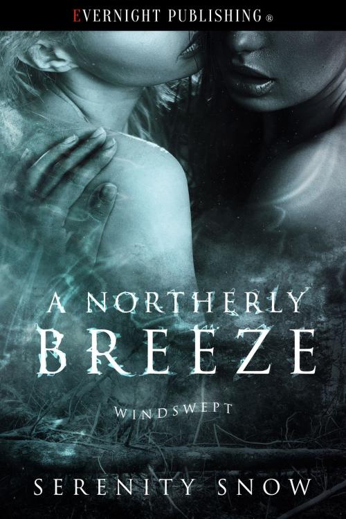 Cover of the book A Northerly Breeze by Serenity Snow, Evernight Publishing