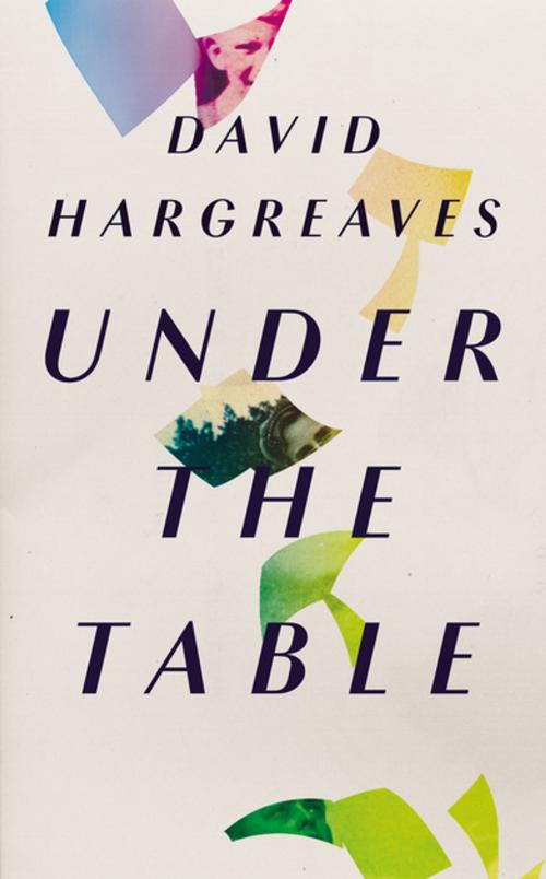Cover of the book Under the Table by David Hargreaves, Unbound