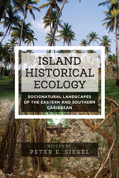 Cover of the book Island Historical Ecology by , Berghahn Books