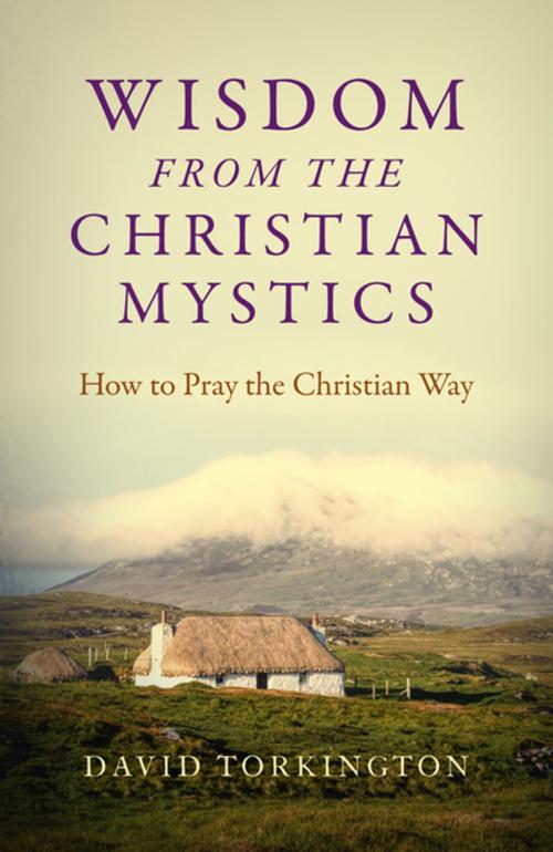 Cover of the book Wisdom from the Christian Mystics: How to Pray the Christian Way by David Torkington, John Hunt Publishing