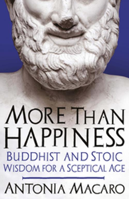 Cover of the book More Than Happiness by Antonia Macaro, Icon Books Ltd