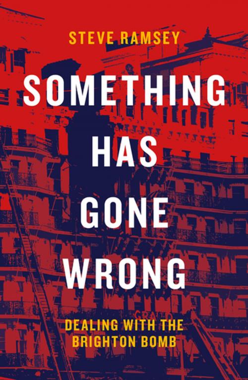 Cover of the book Something Has Gone Wrong by Steve Ramsey, Biteback Publishing