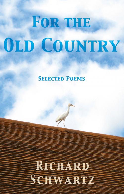 Cover of the book For the Old Country by Richard Schwartz, Troubador Publishing Ltd