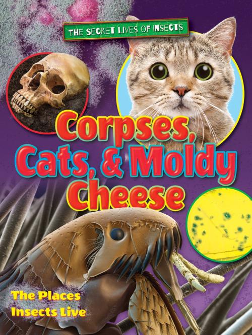 Cover of the book Corpses, Cats, and Moldy Cheese by Ruth Owen, Bearport Publishing
