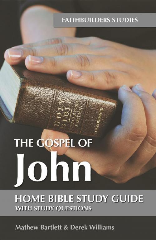 Cover of the book The Gospel of John by Mathew Bartlett, Derek Williams, Apostolos Publishing Ltd