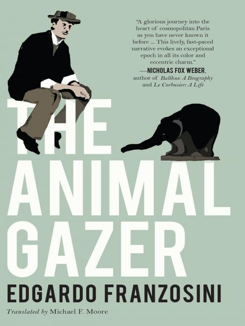 Cover of the book The Animal Gazer by Edgardo Franzosini, New Vessel Press