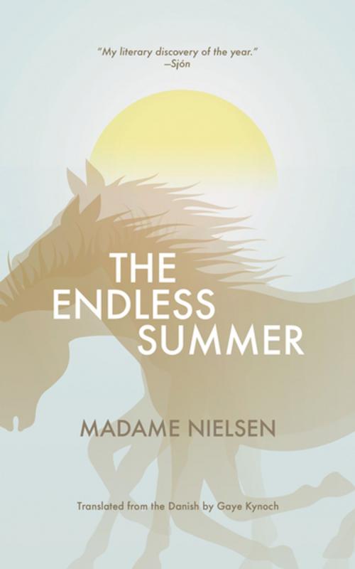 Cover of the book The Endless Summer by Madame Nielsen, Open Letter