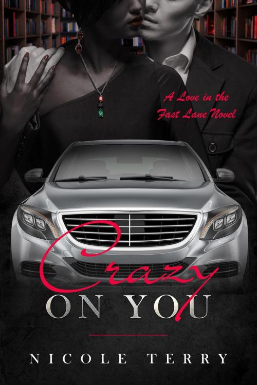 Cover of the book Crazy on You by Nicole Terry, City Owl Press