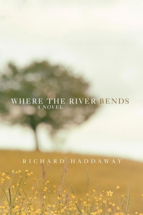 Cover of the book Where the River Bends by Richard Haddaway, Dzanc Books