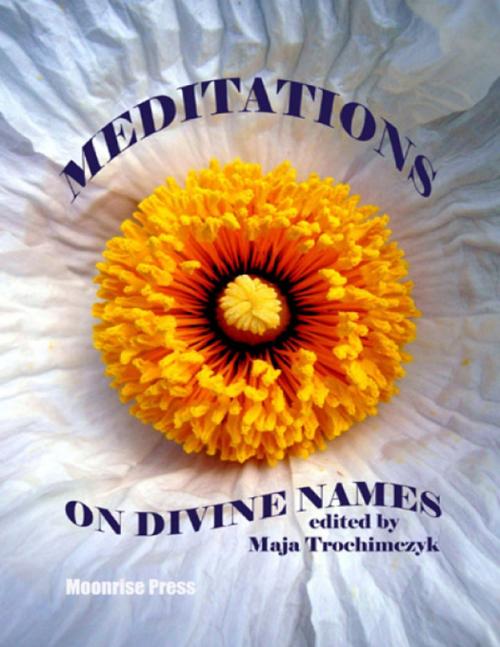 Cover of the book Meditations On Divine Names by Maja Trochimczyk, Moonrise Press