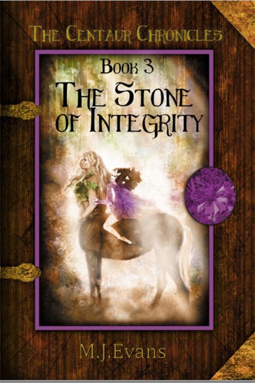 Cover of the book The Stone of Integrity by M.J. Evans, Dancing Horse Press