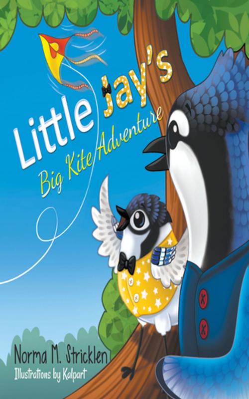 Cover of the book Little Jay's Big Kite Adventure by Norma M. Stricklen, Progressive Rising Phoenix Press, LLC