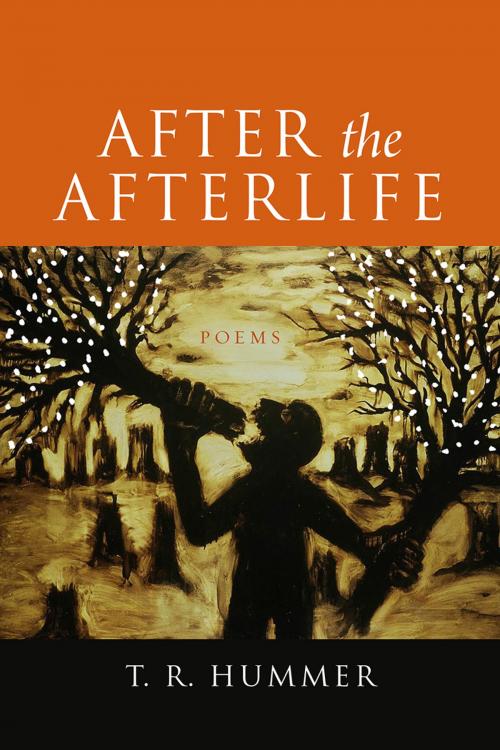 Cover of the book After the Afterlife by T. R. Hummer, Acre Books