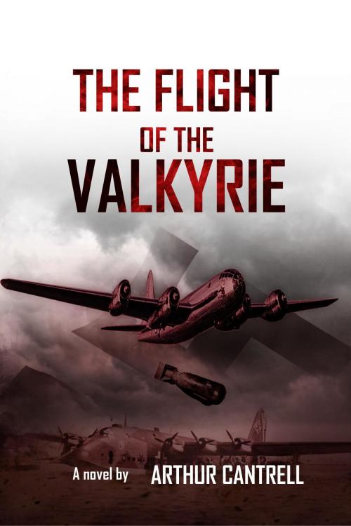 Cover of the book The Flight of the Valkyrie by Arthur Cantrell, PageTurner, Press and Media