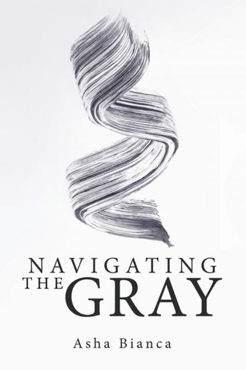 Cover of the book Navigating the Gray by Asha Bianca, WestBow Press