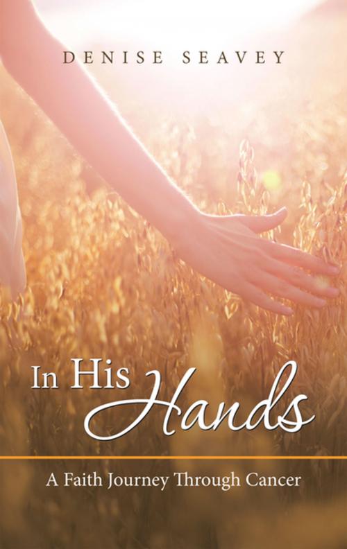 Cover of the book In His Hands by Denise Seavey, WestBow Press