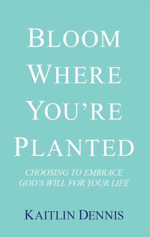 Cover of the book Bloom Where You’Re Planted by Kaitlin Dennis, WestBow Press
