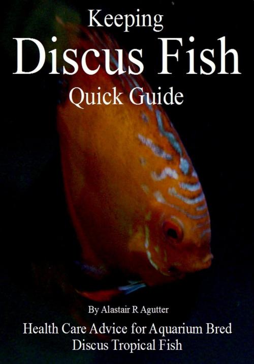 Cover of the book Keeping Discus Fish Quick Guide by Alastair R Agutter, Alastair Agutter Digital Publications