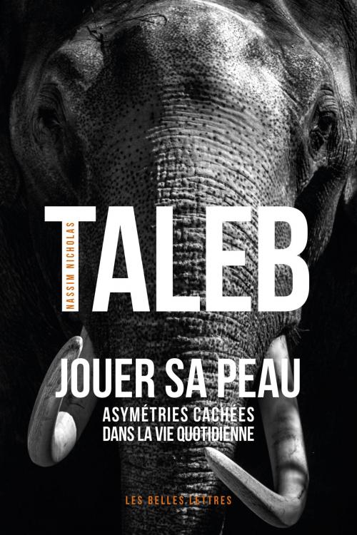 Cover of the book Jouer sa peau by Nassim Nicholas Taleb, Les Belles Lettres