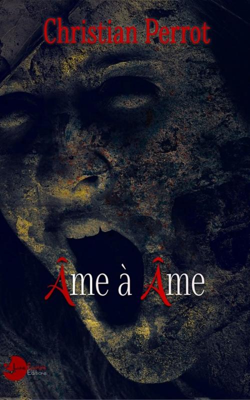 Cover of the book Âme à Âme by Christian Perrot, Lune Ecarlate Editions
