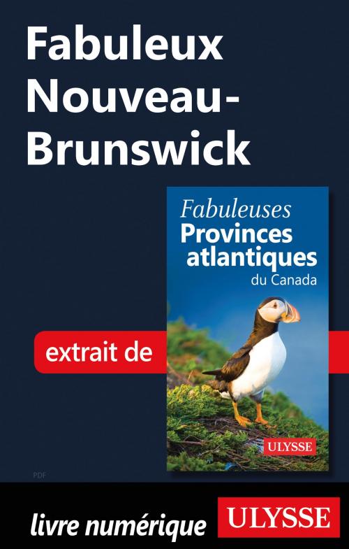 Cover of the book Fabuleux Nouveau-Brunswick by Collectif Ulysse, Guides de voyage Ulysse