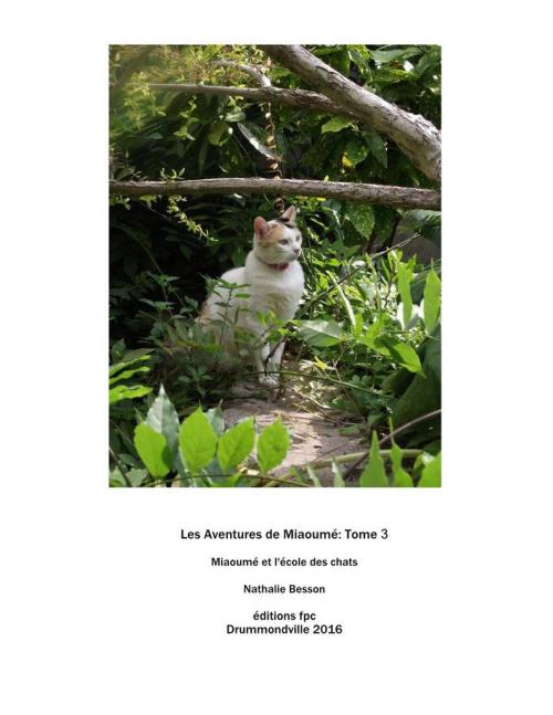 Cover of the book Les Aventures de Miaoumé, Tome 3. Miaoumé et l'école des cha by Nathalie Besson, ÉDITIONS FPC
