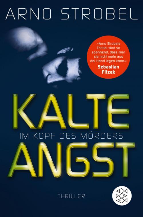 Cover of the book Im Kopf des Mörders - Kalte Angst by Arno Strobel, FISCHER E-Books
