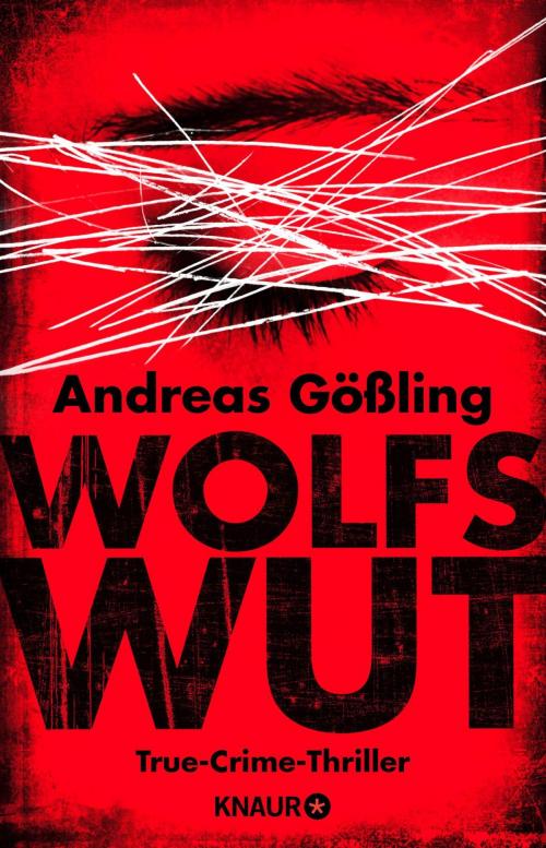Cover of the book Wolfswut by Andreas Gößling, Knaur eBook