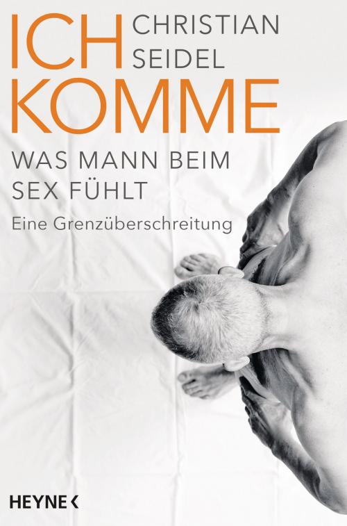 Cover of the book Ich komme by Christian Seidel, Heyne Verlag