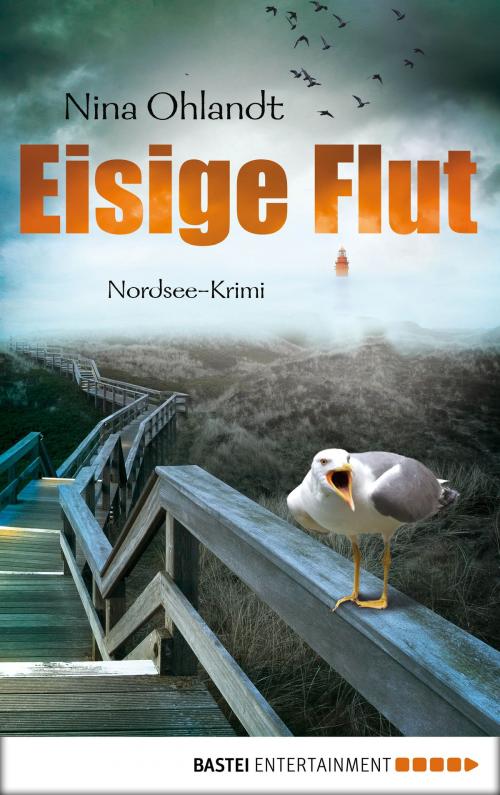 Cover of the book Eisige Flut by Nina Ohlandt, Bastei Entertainment