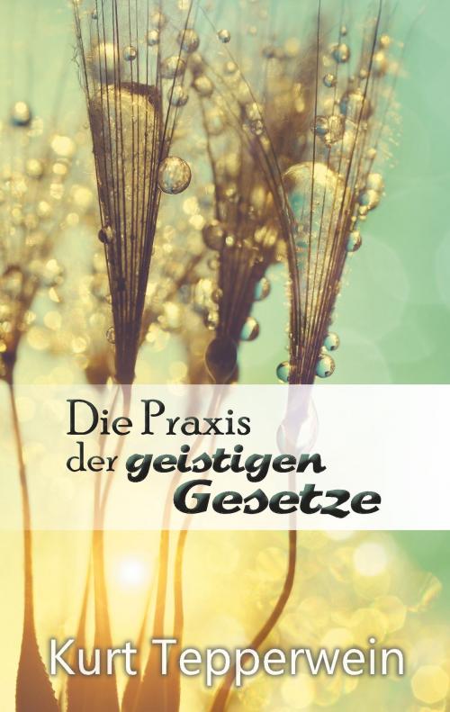 Cover of the book Die Praxis der geistigen Gesetze by Kurt Tepperwein, Books on Demand