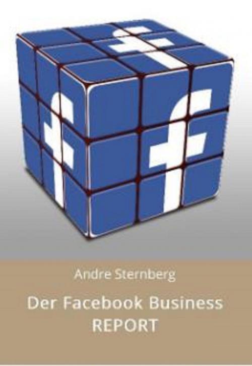 Cover of the book Der Facebook Business REPORT by Andre Sternberg, neobooks