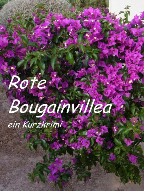 Cover of the book Rote Bougainvillea by Lucy van Geldern, neobooks
